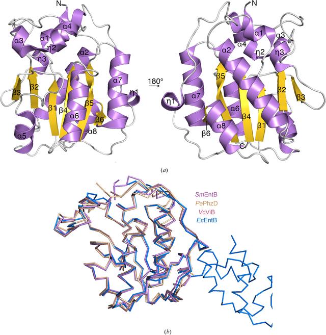 [Figure 2]