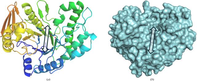 [Figure 1]
