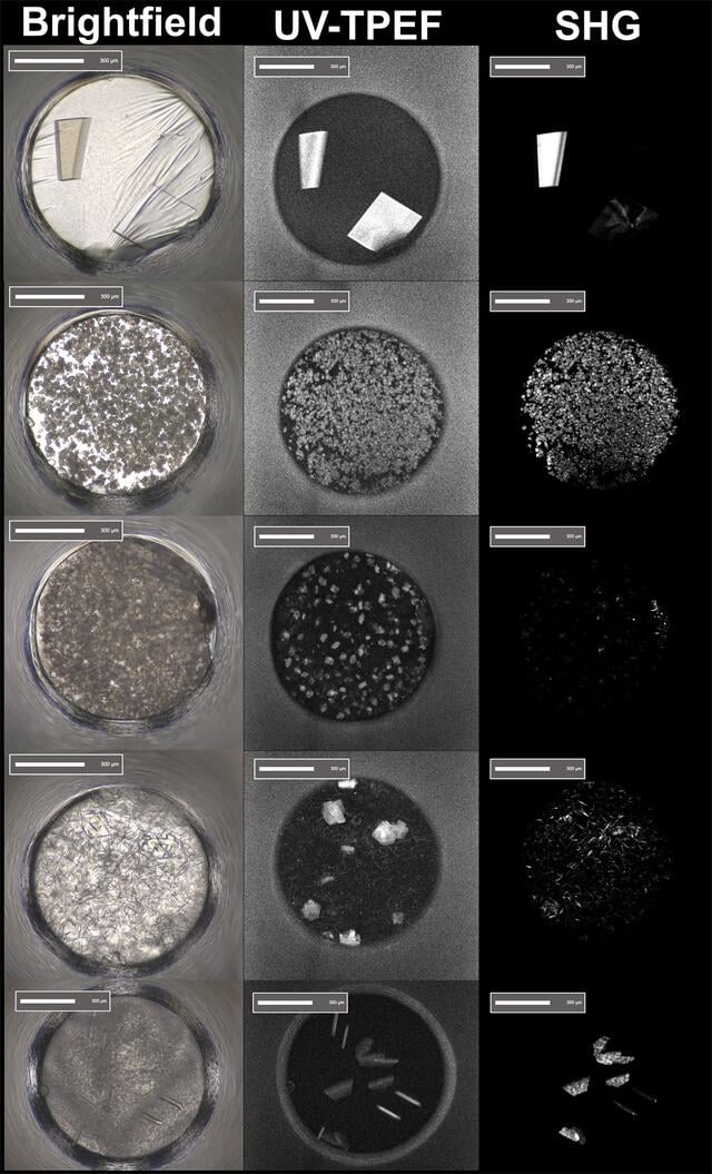 [Figure 3]