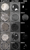 [Figure 3]