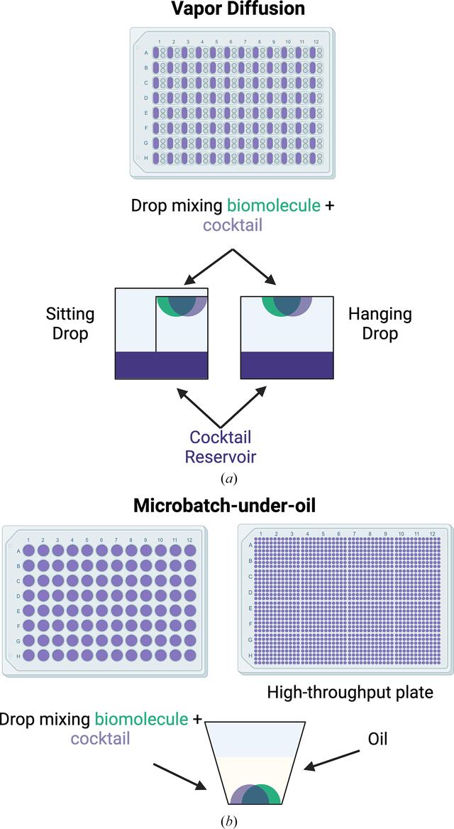 [Figure 4]
