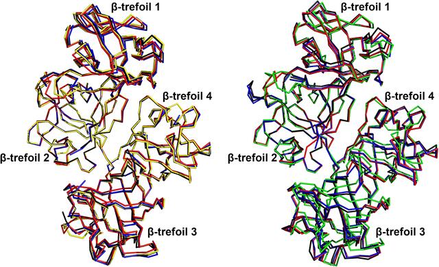 [Figure 5]