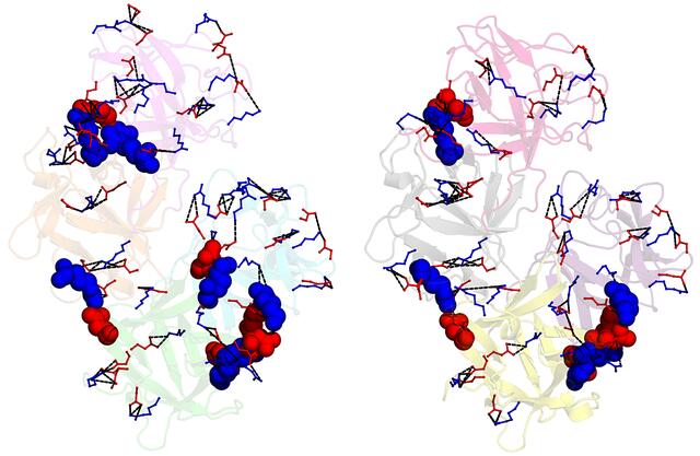 [Figure 6]