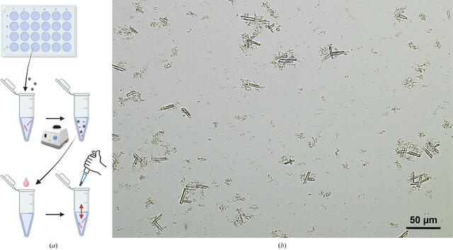 [Figure 7]