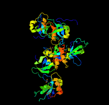 Highlighted illustration