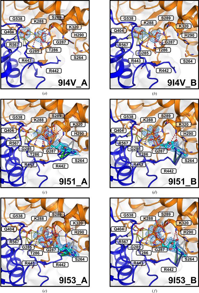[Figure 2]