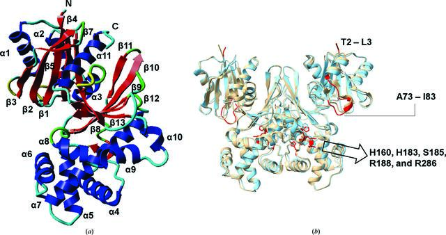 [Figure 1]