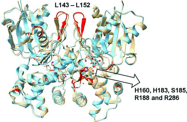 [Figure 3]
