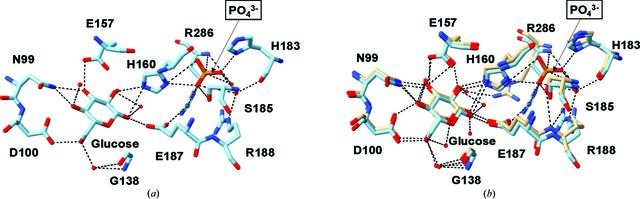 [Figure 6]