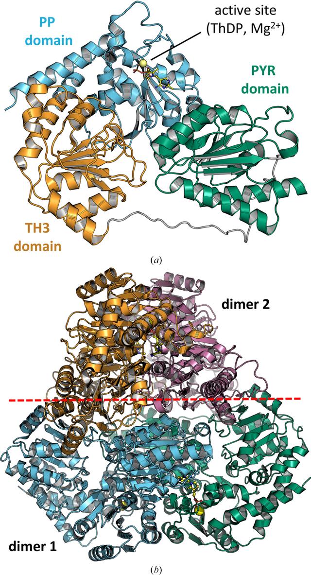 [Figure 2]