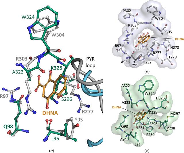 [Figure 4]