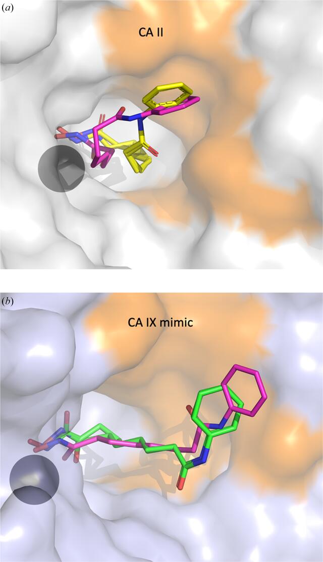 [Figure 2]