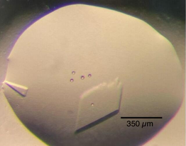 [Figure 1]