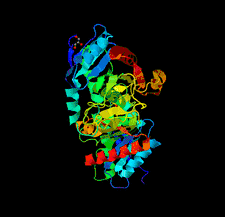 Highlighted illustration