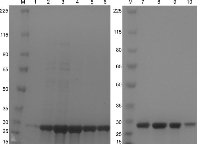 [Figure 1]