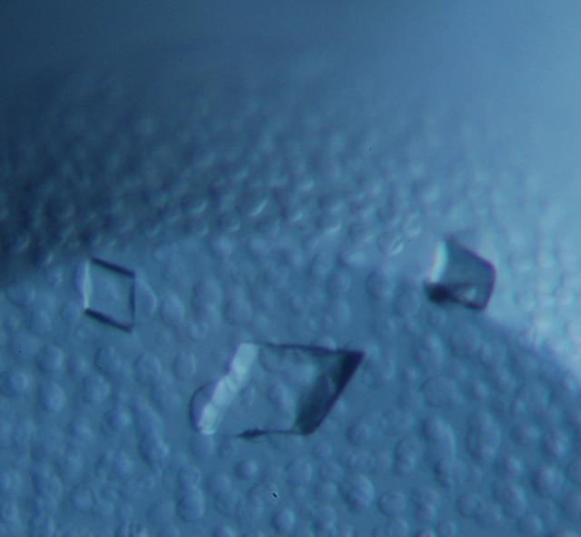 [Figure 2]