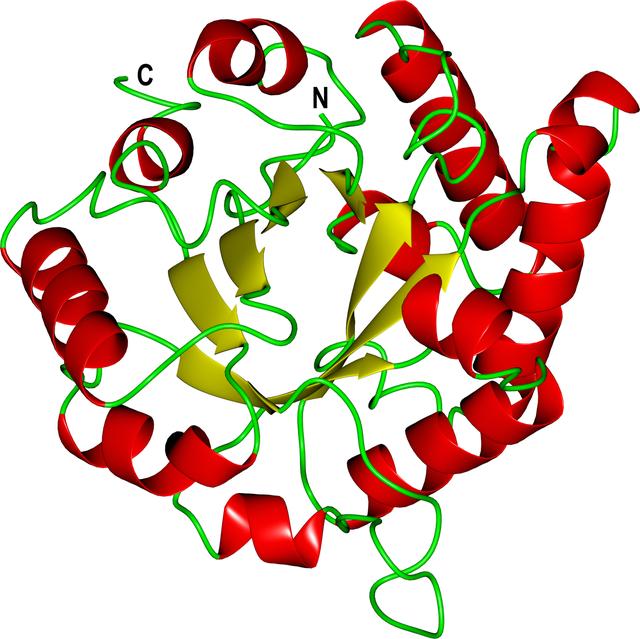 [Figure 3]