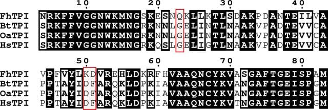 [Figure 4]