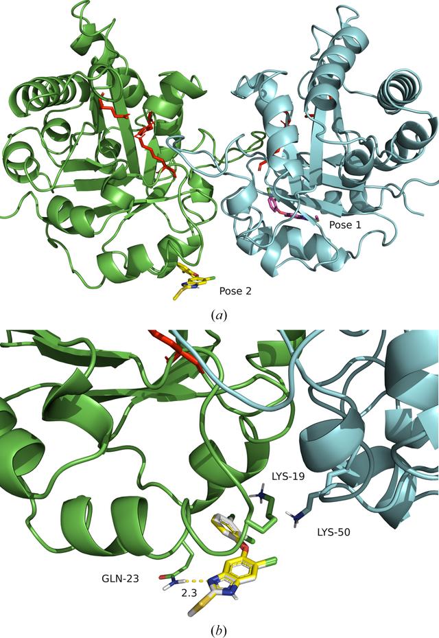 [Figure 5]