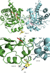 [Figure 5]