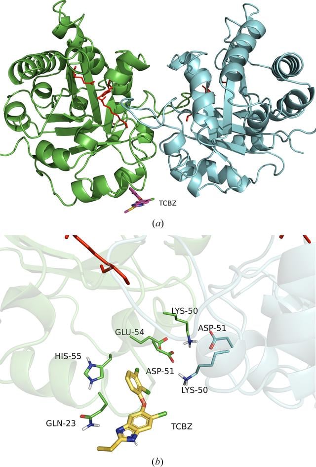 [Figure 6]