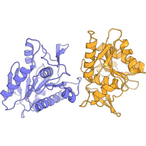 (IUCr) Crystal structure of the virulence protein J (VirJ) domain 1 ...
