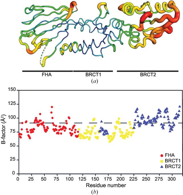 [Figure 2]
