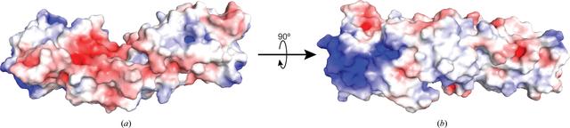 [Figure 4]