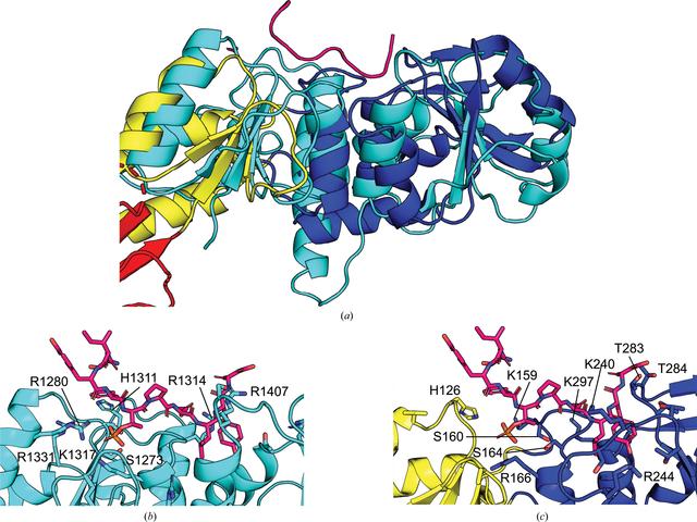 [Figure 5]