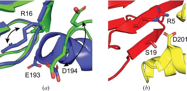 [Figure 6]