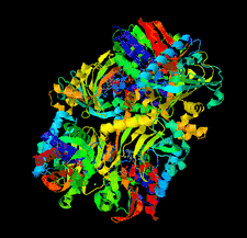 Highlighted illustration