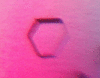 link to html