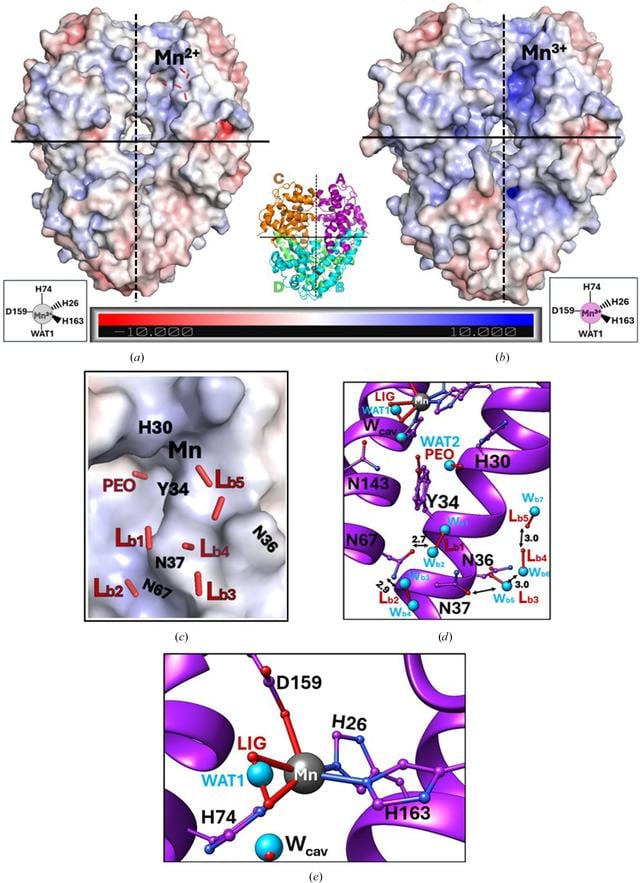[Figure 3]
