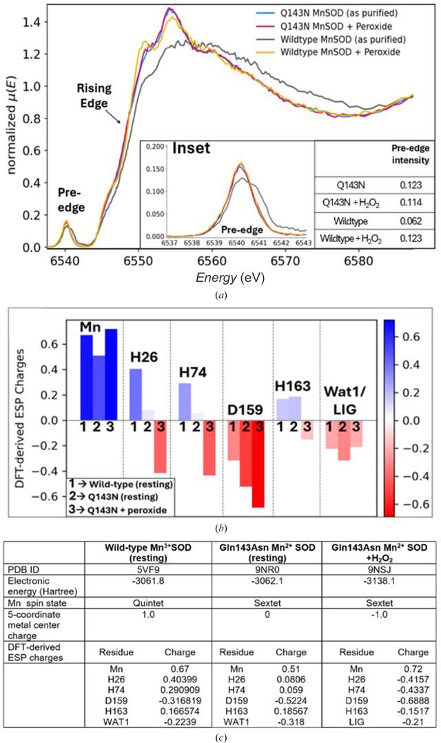 [Figure 5]