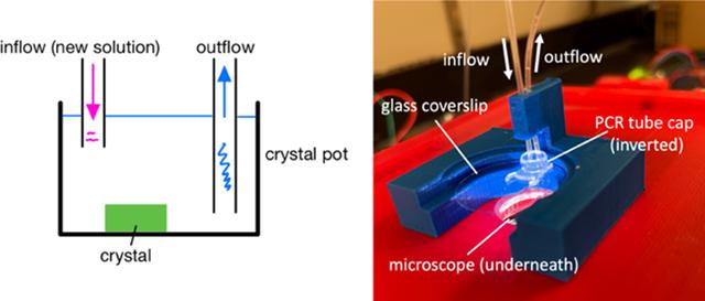 [Figure 1]