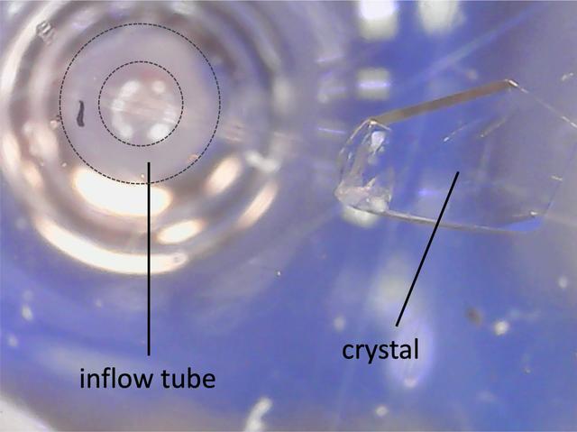 [Figure 2]