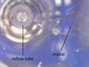 [Figure 2]