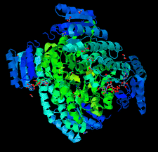 Highlighted illustration