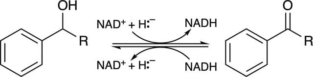 [Figure 1]