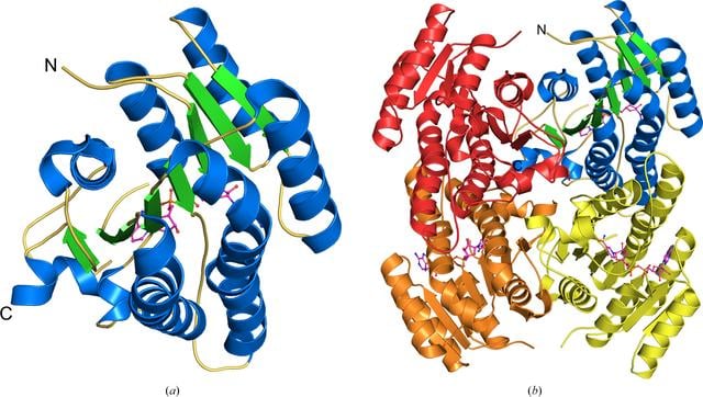 [Figure 2]