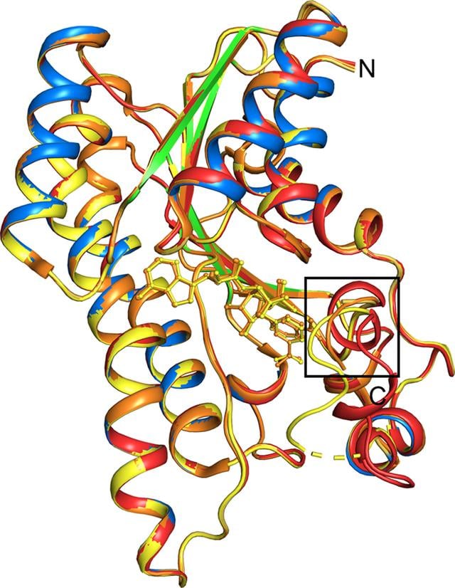[Figure 4]