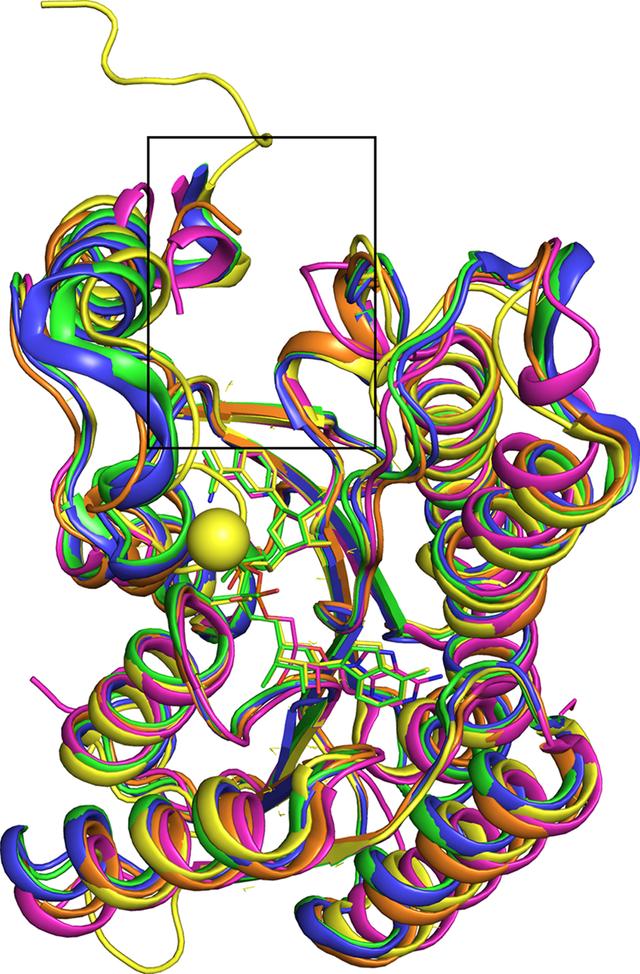 [Figure 6]