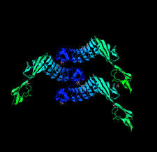 Highlighted illustration