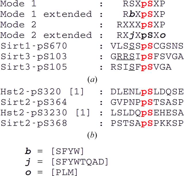 [Figure 2]