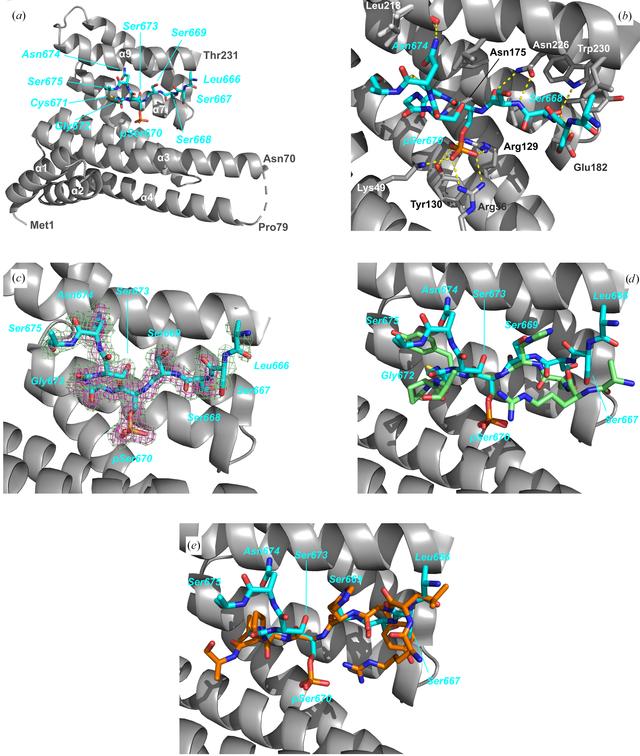 [Figure 5]