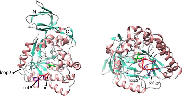 [Figure 1]