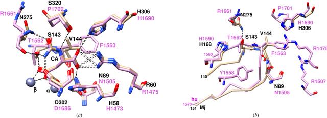 [Figure 4]