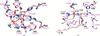 [Figure 4]