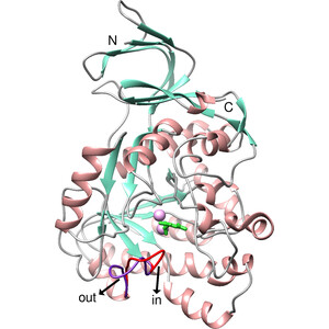Crystal structure of Methanococcus jannaschii dihydroorotase with substrate bound
