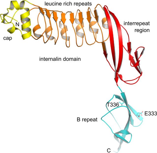 [Figure 2]